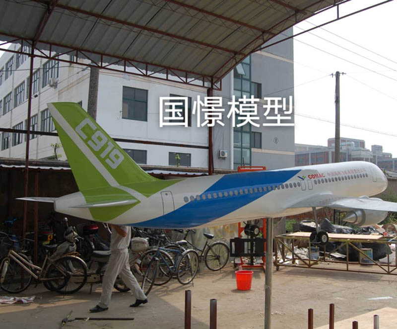 黄梅县飞机模型